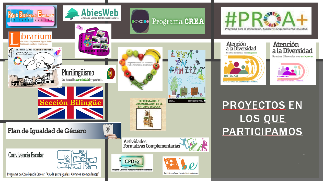 proyectos del centro 23 24